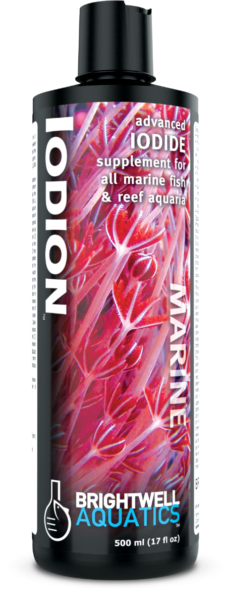 Brightwell Iodion Supplement