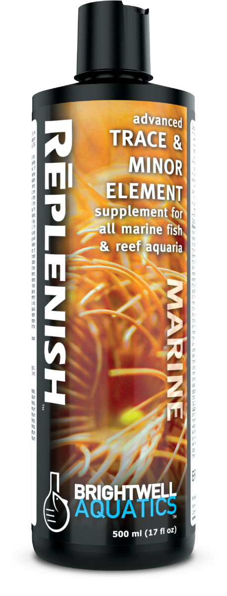 Brightwell Replenish Supplement