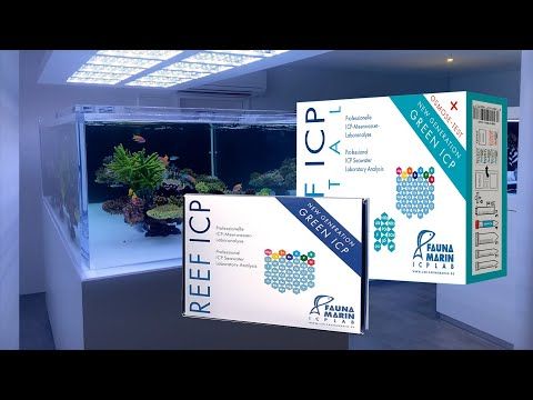 Fauna Marin Reef ICP Test (Single Test)