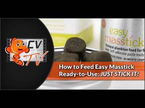 Easy Reefs Easy Masstick Ready to Use Fish Food